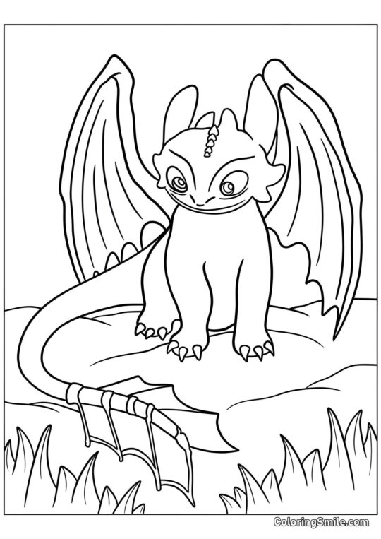 Dragon de la nuit de la fureur - Page de Coloriage