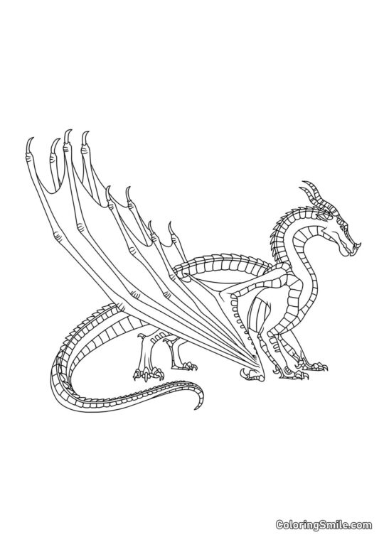 Dragon noir - Page de Coloriage