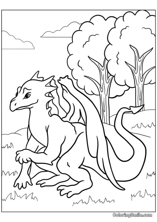 Dragon dans la forêt - Page de Coloriage