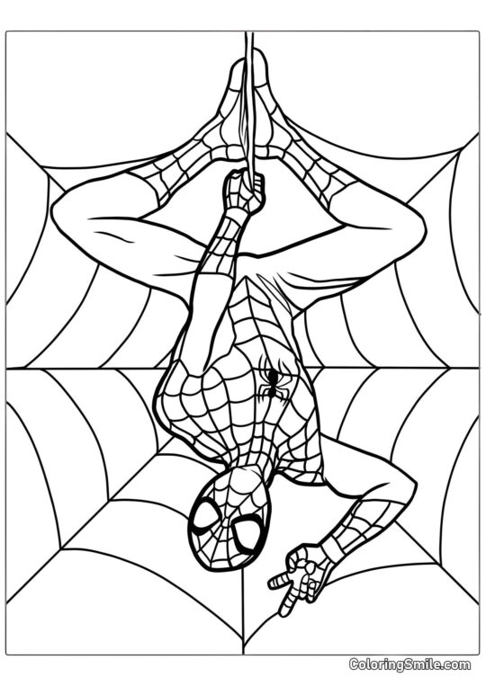 Spider-Man suspendu à l&rsquo;envers - Page de Coloriage