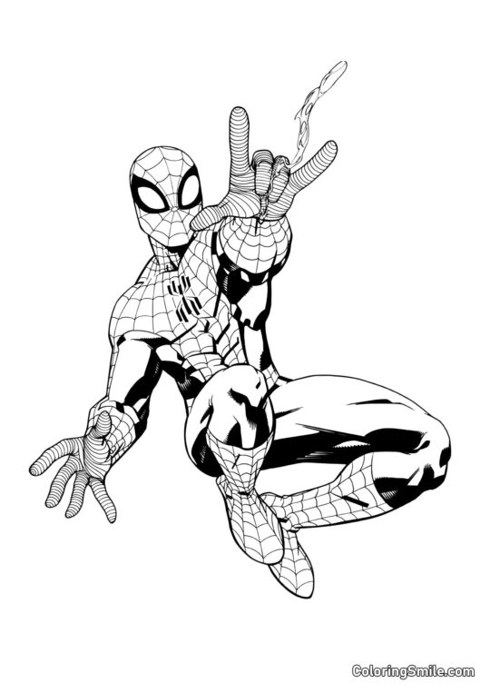 Spider-Man et la toile - Page de Coloriage