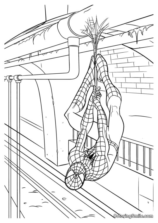 Nouveau Spider-Man - Page de Coloriage