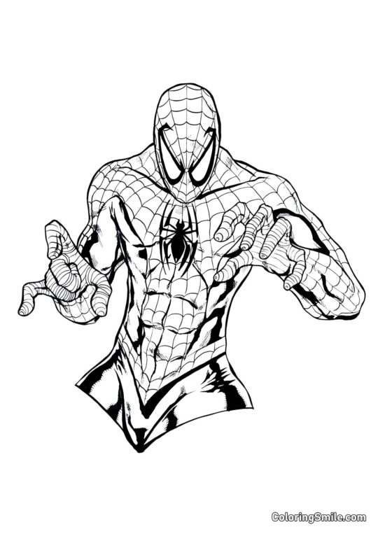 Torso de Spider-Man - Page de Coloriage