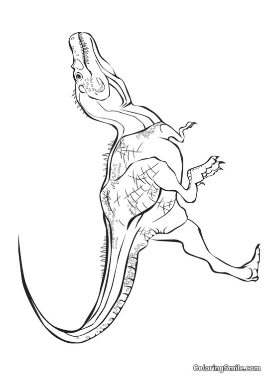 Tyrannosaure - Page de Coloriage