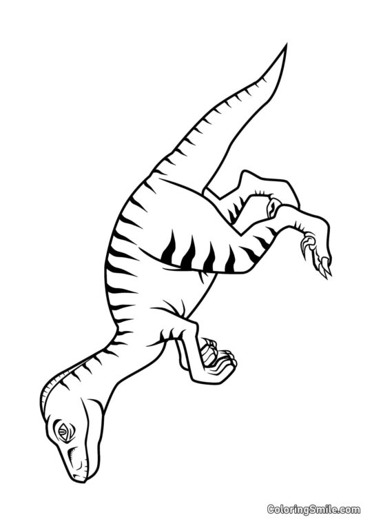 Vélociraptor - Page de Coloriage