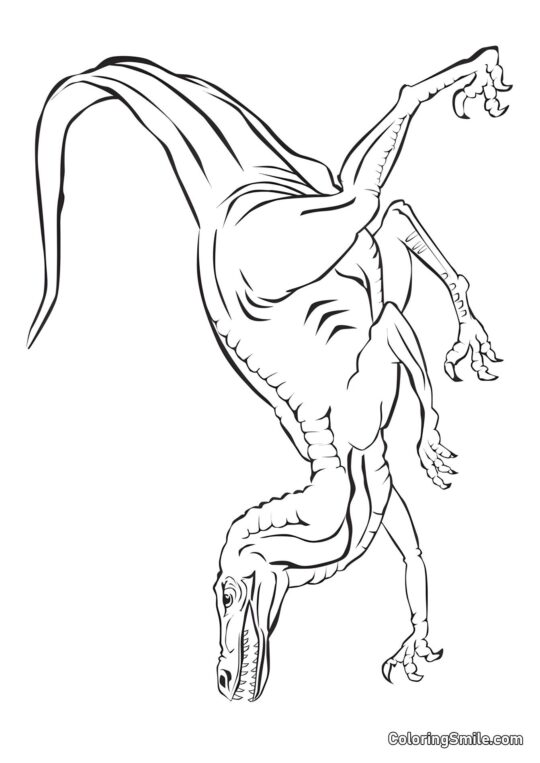 Vélociraptor à la chasse - Page de Coloriage