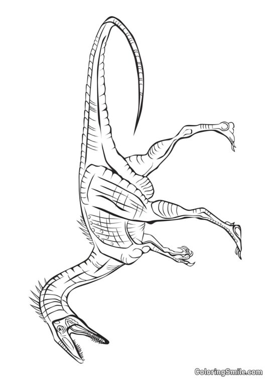 Coelophysis - Page de Coloriage