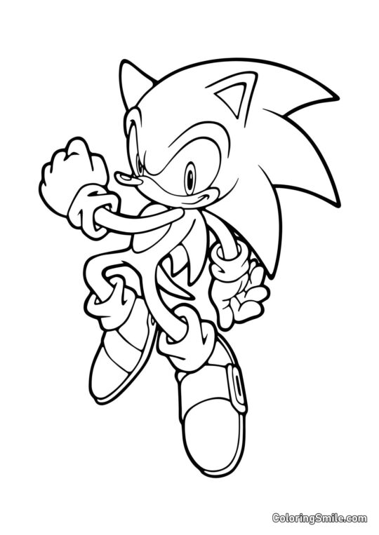 Sonic le Gagnant Sonic le Gagnant - Page de Coloriage