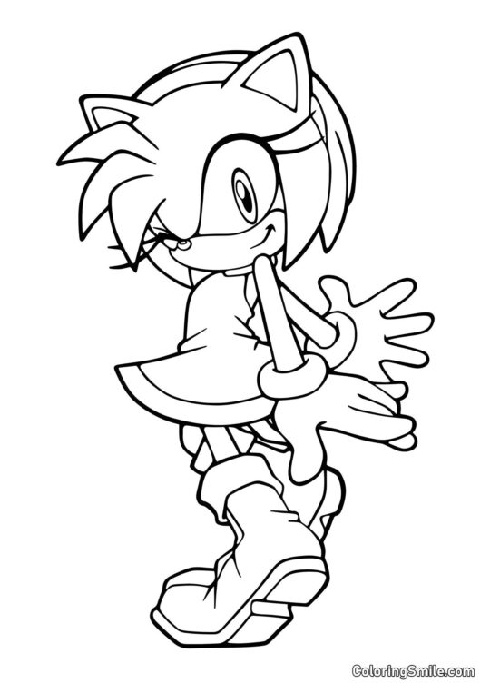 Rose de Sonic Rose de Sonic - Page de Coloriage