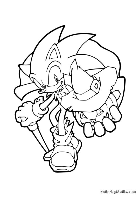 Sonic d’Halloween Sonic d’Halloween - Page de Coloriage
