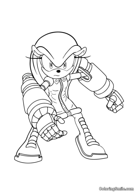 La petite amie de Sonic La petite amie de Sonic - Page de Coloriage