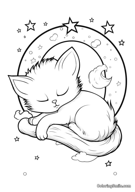 Chaton sur la Lune et Étoiles - Page de Coloriage