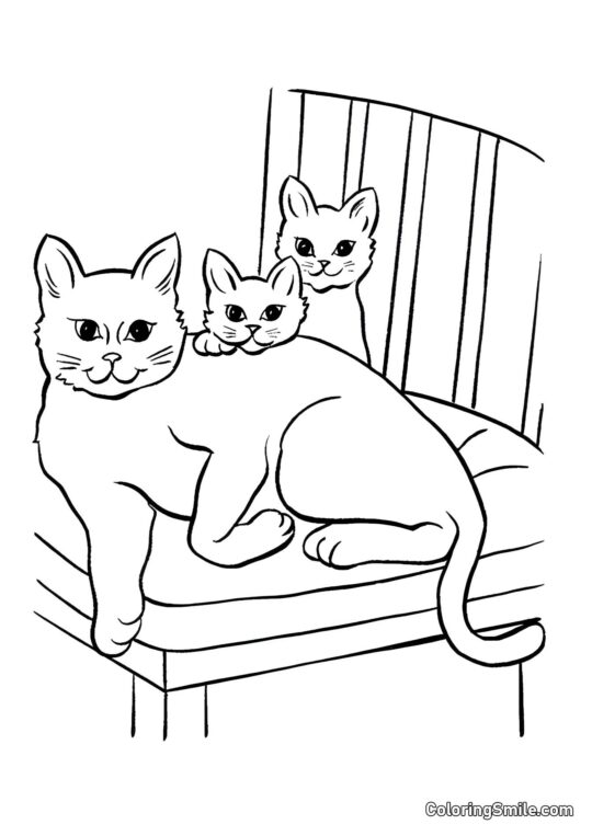 Chat et Deux Chatons - Page de Coloriage