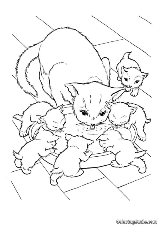 Chat et Six Chatons - Page de Coloriage
