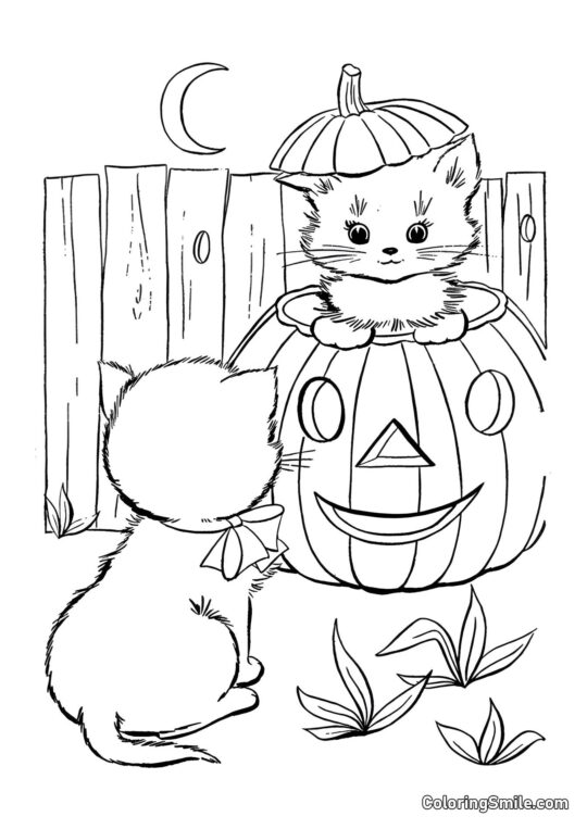 Chatons sur Citrouille - Page de Coloriage
