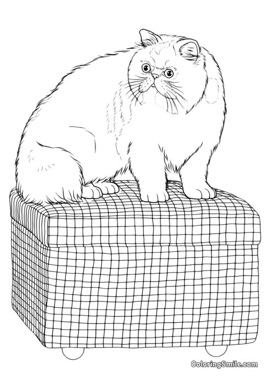 Grand Chat sur un Pouf - Page de Coloriage