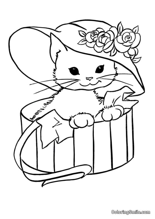 Chat dans un Chapeau - Page de Coloriage