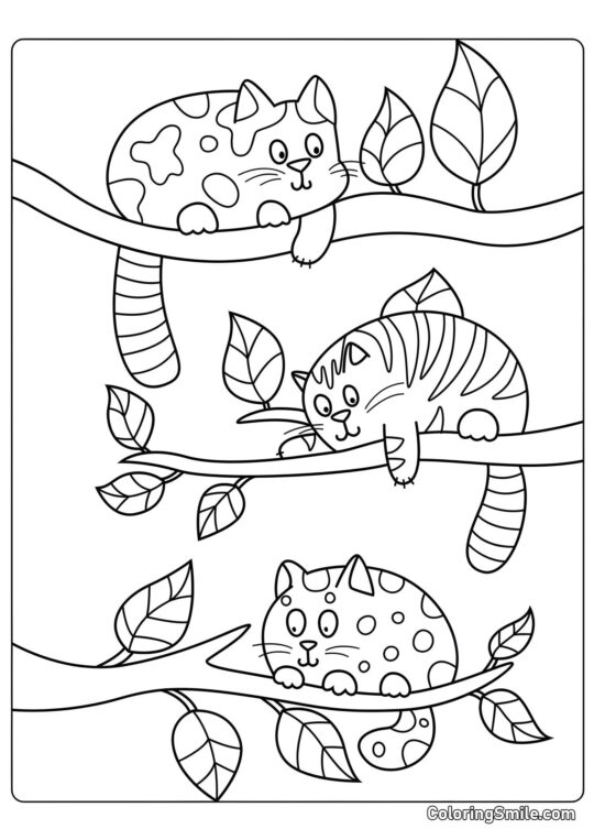 Chats Drôles - Page de Coloriage