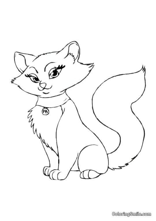 Chat Marquise - Page de Coloriage