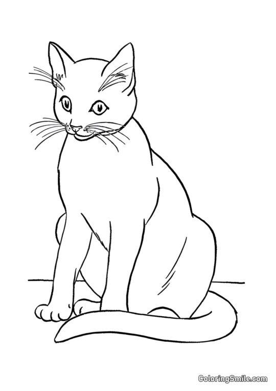 Chat Siamois - Page de Coloriage