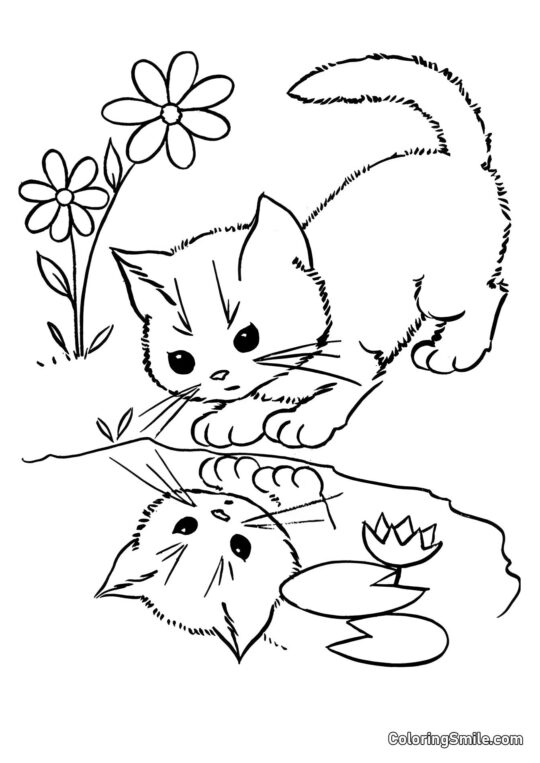 Chaton Regardant son Reflet dans une Flaque - Page de Coloriage