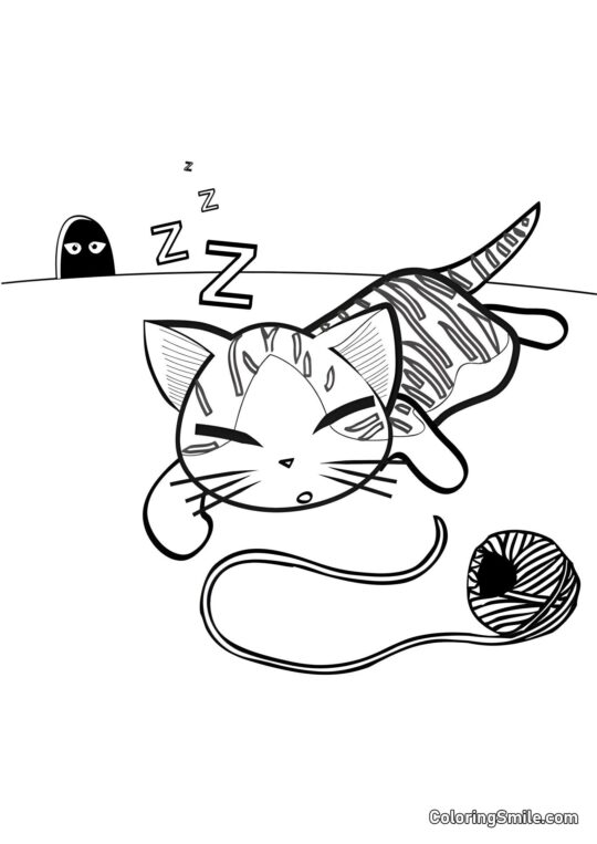 Souris Regardant le Chat - Page de Coloriage