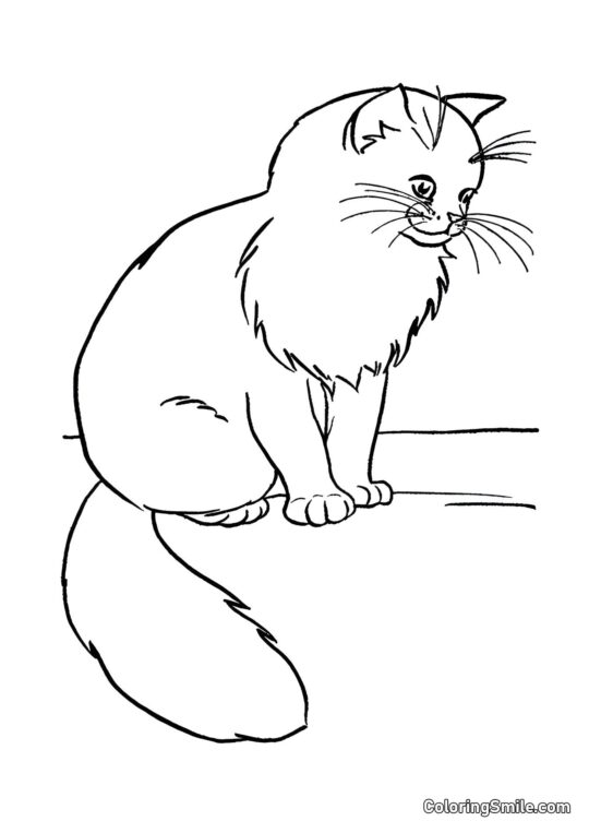 Chat Assis sur la Route - Page de Coloriage