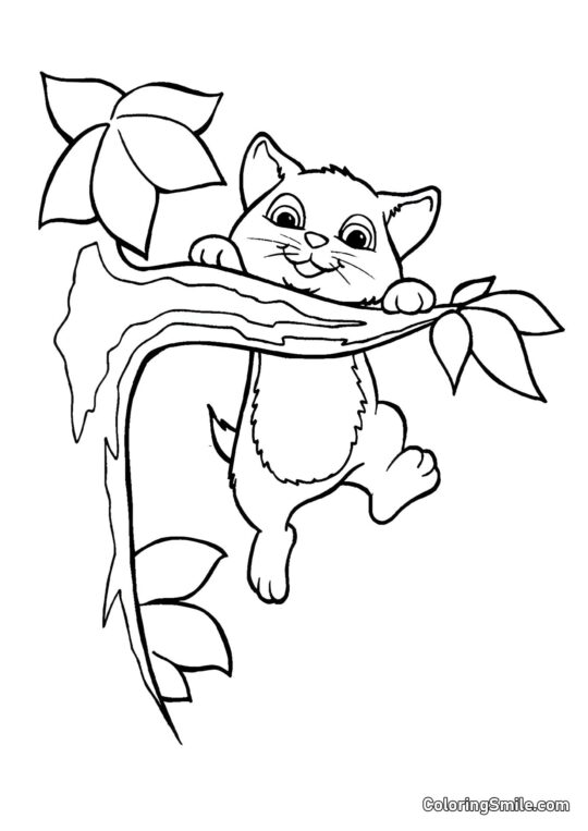 Chaton Suspendu à un Arbre - Page de Coloriage