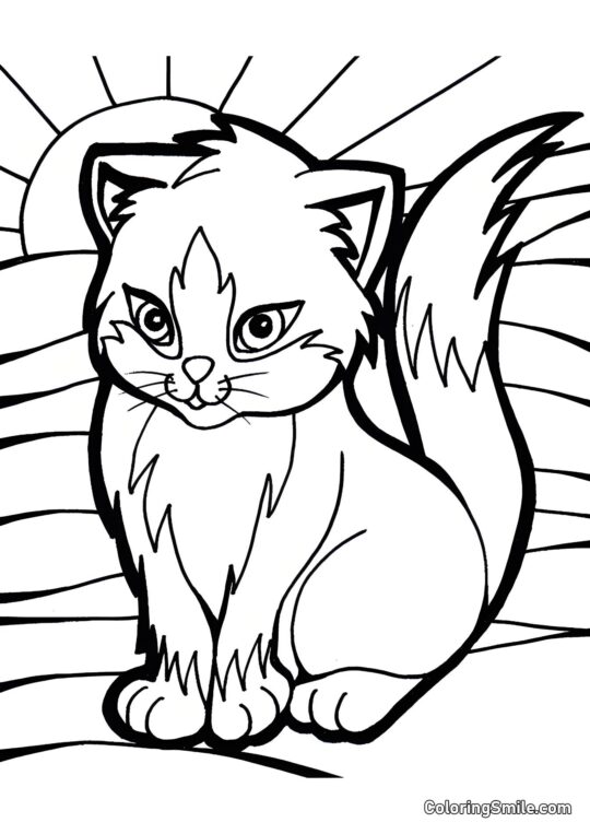 Chat Magnifique - Page de Coloriage