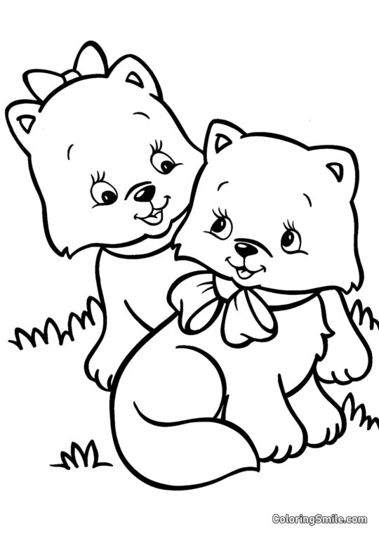 Deux Chatons Mignons - Page de Coloriage