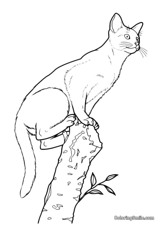 Chat sur une Branche - Page de Coloriage