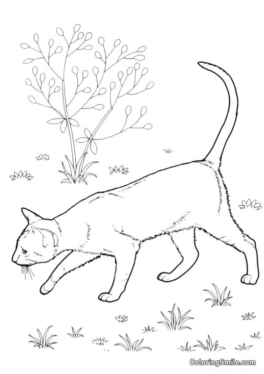 Chat Cherchant la Trace de la Souris - Page de Coloriage