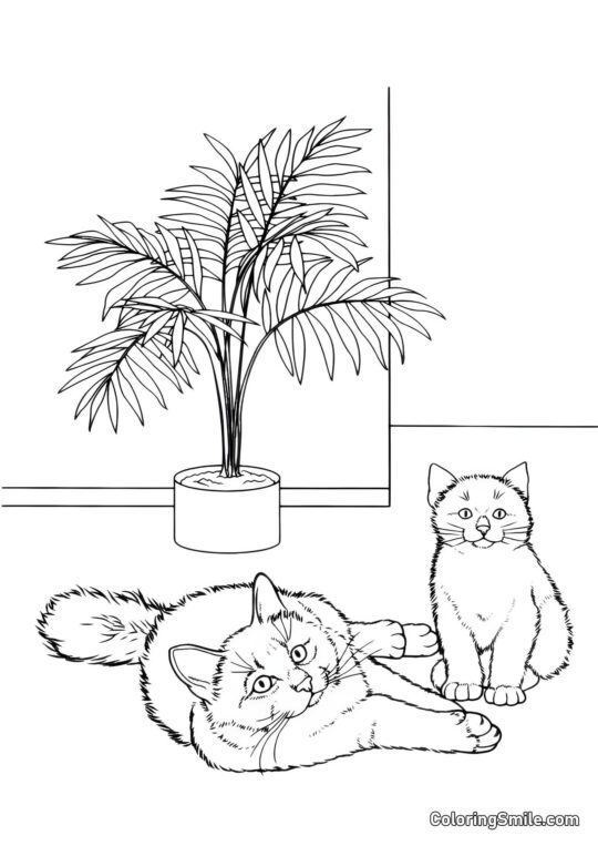 Chat Doux avec Chaton - Page de Coloriage