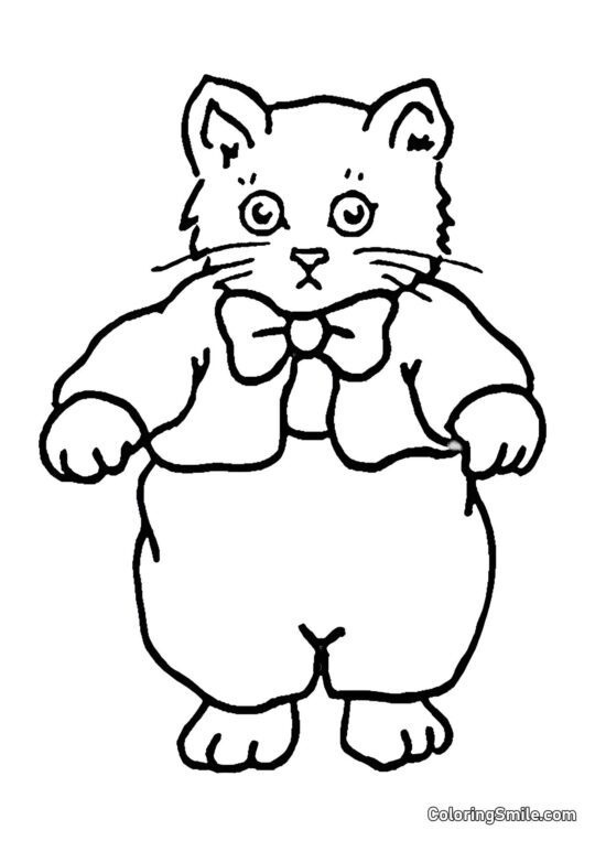 Chaton dans un Pull - Page de Coloriage