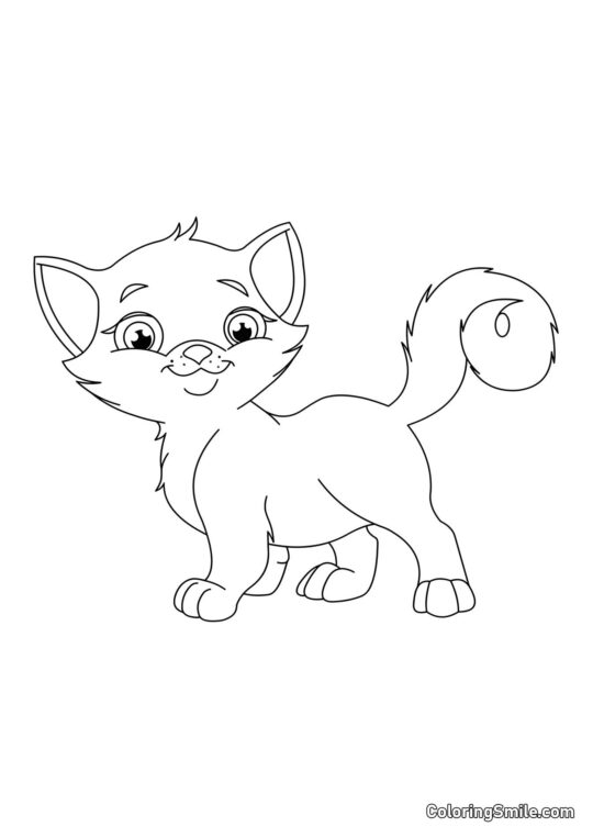 Chat Peluche - Page de Coloriage