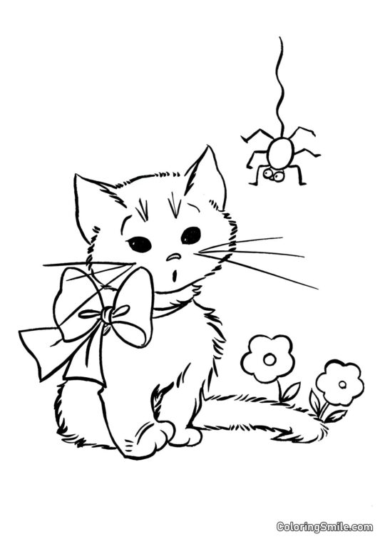 Chaton et Araignée - Page de Coloriage