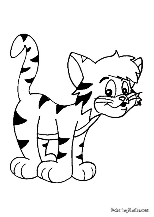 Chat Rayé Rusé - Page de Coloriage