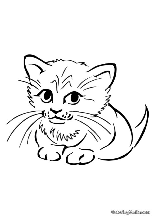 Chat Boudeur - Page de Coloriage
