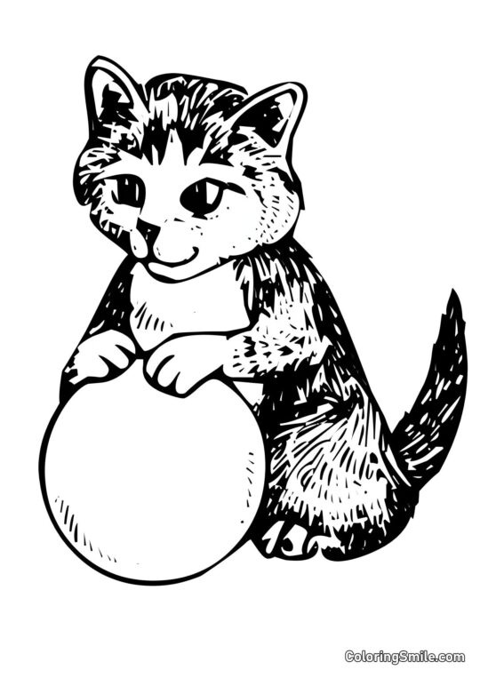 Chat Joyeux avec une Balle - Page de Coloriage