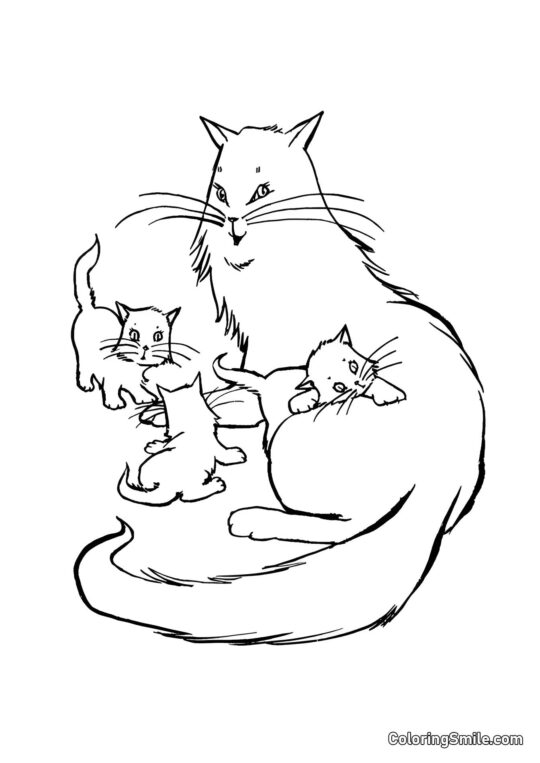 Chat et Trois Petits Chatons - Page de Coloriage