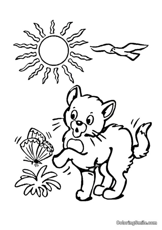 Chat et Papillon - Page de Coloriage