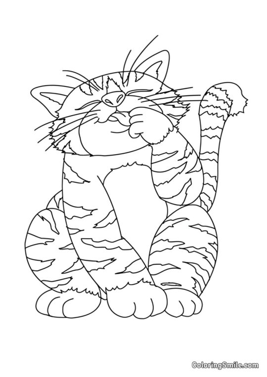 Chat Lissant sa Patte - Page de Coloriage