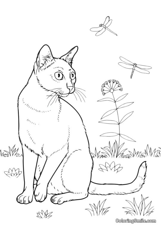 Chat et Papillons dans le Champ - Page de Coloriage