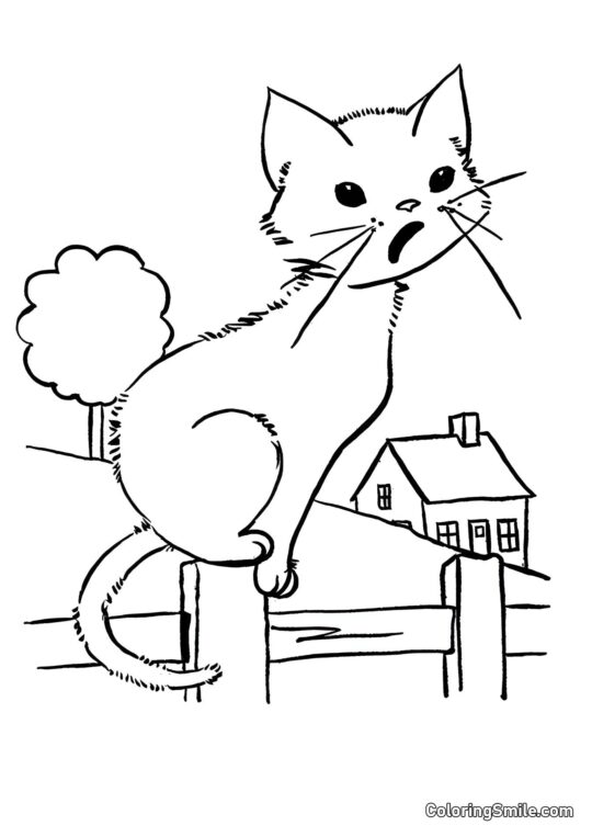 Chat sur le Toit - Page de Coloriage