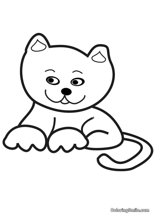 Chat Rusé - Page de Coloriage