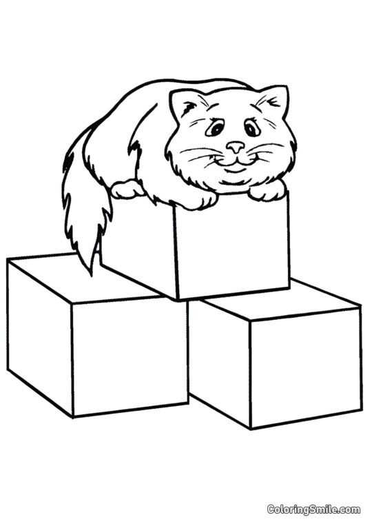 Chat sur des Blocs - Page de Coloriage