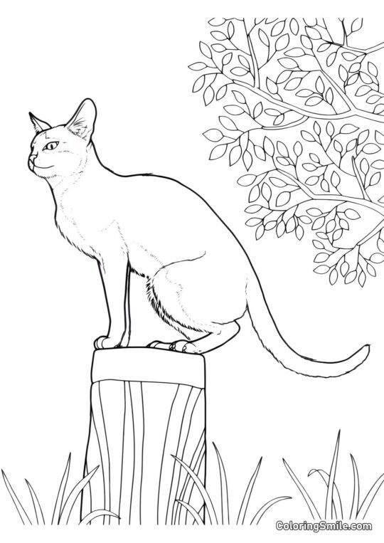 Chat Sauvage Assis sur une Souche - Page de Coloriage
