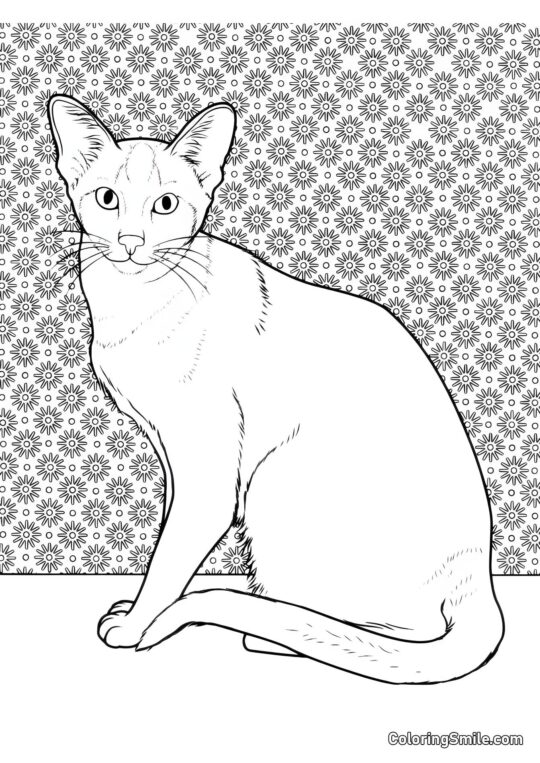 Chat de Race - Page de Coloriage