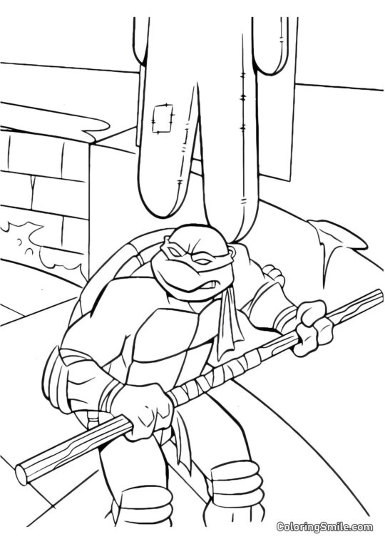 Donatello en Entraînement - Page de Coloriage