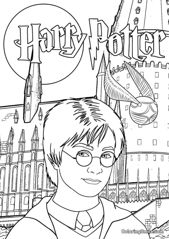 Harry Potter devant le château - Page de Coloriage